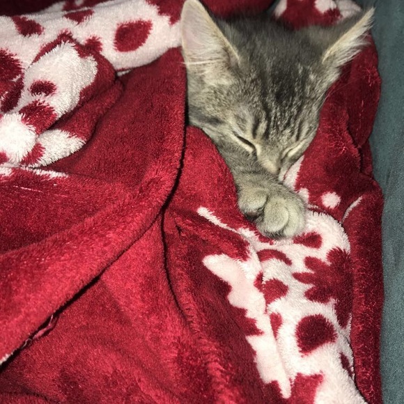 Meet your Posher, Alex - Picture 1 of 1